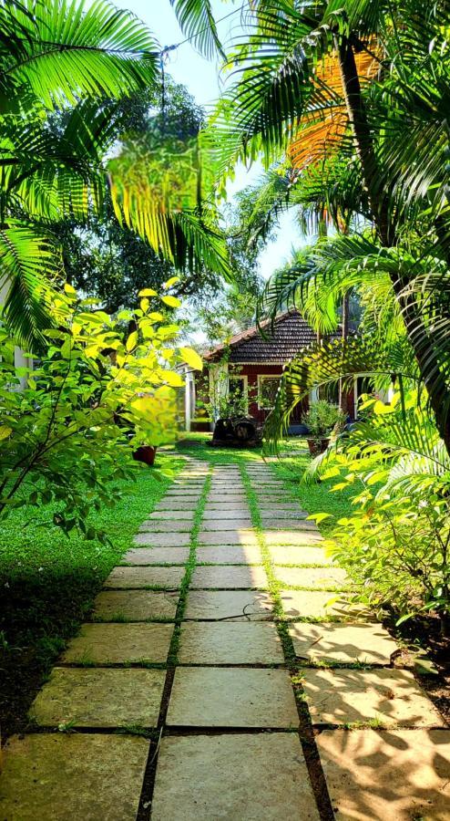 Garden Villa Вагатор Екстериор снимка